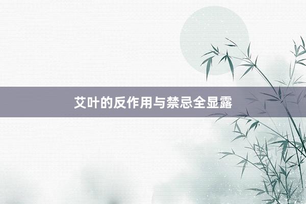 艾叶的反作用与禁忌全显露