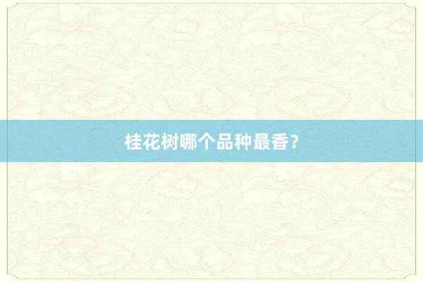 桂花树哪个品种最香？