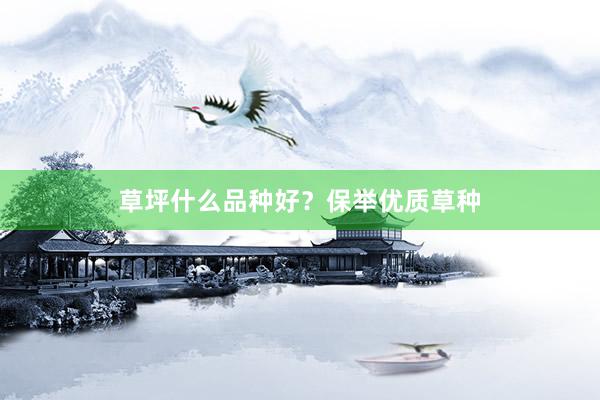 草坪什么品种好？保举优质草种